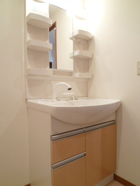 Washroom. Shampoo dresser