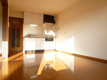 Living and room. LDK9.3 Pledge