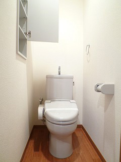 Toilet. Shower toilet