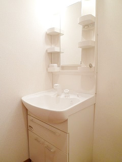 Washroom. Shampoo dresser