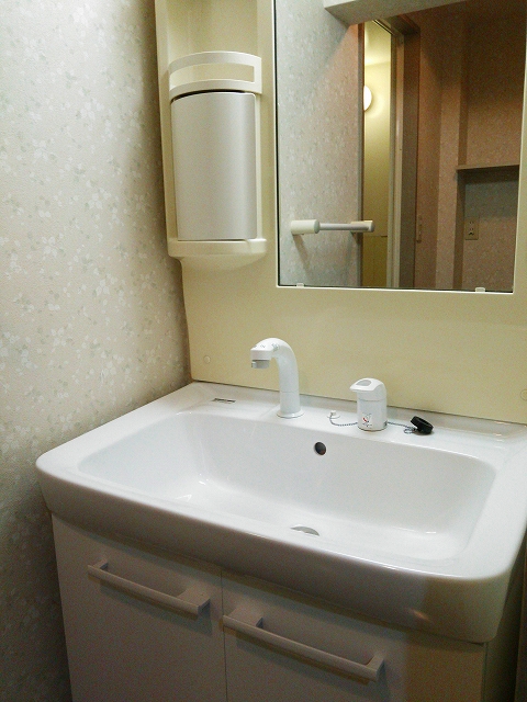 Washroom. Washbasin with shower