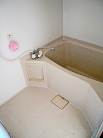Bath. Bathroom