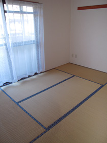 Other room space. Japanese style room