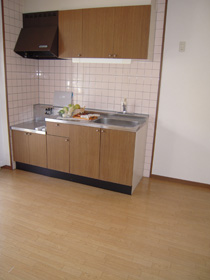 Kitchen. kitchen LDK13 Pledge