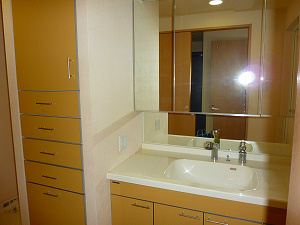 Washroom. With storage shelf