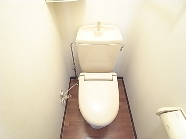 Toilet. The same image