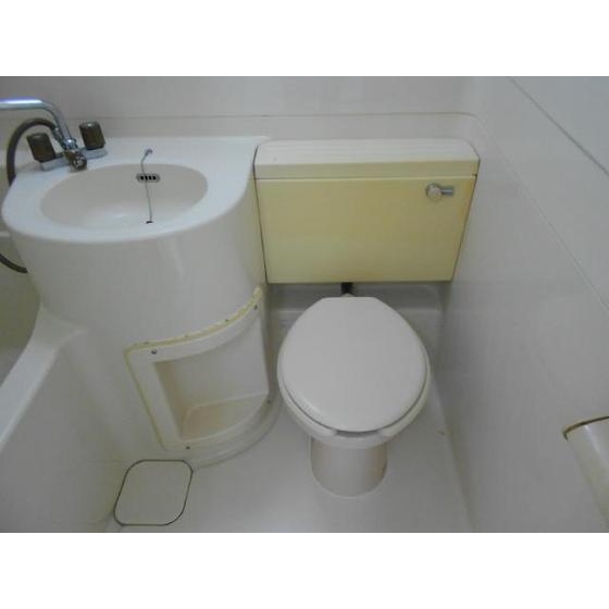 Toilet. Toilet
