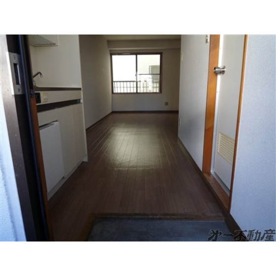 Living and room. Entrance