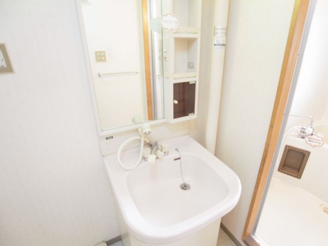 Washroom. The same image