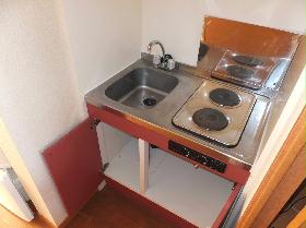 Kitchen. Two-burner stove