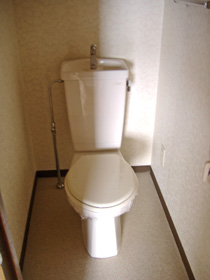 Toilet. Toilet