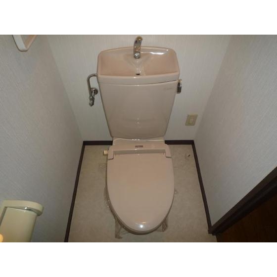 Toilet. Toilet