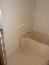 Bath. Bathroom