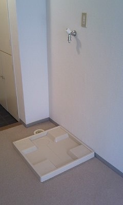 Other. There yard indoor washing machine