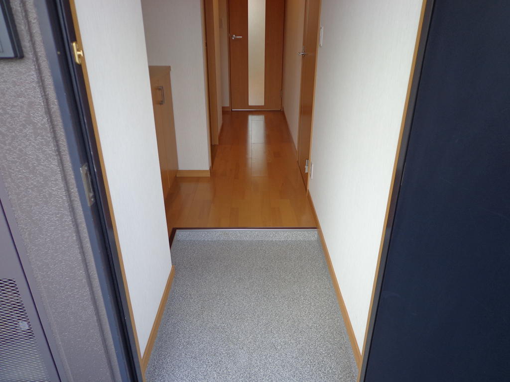 Entrance. Functional compact