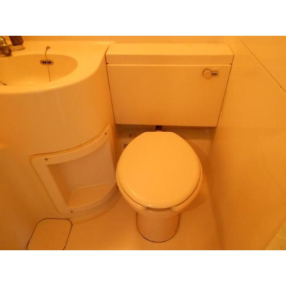 Other. Toilet