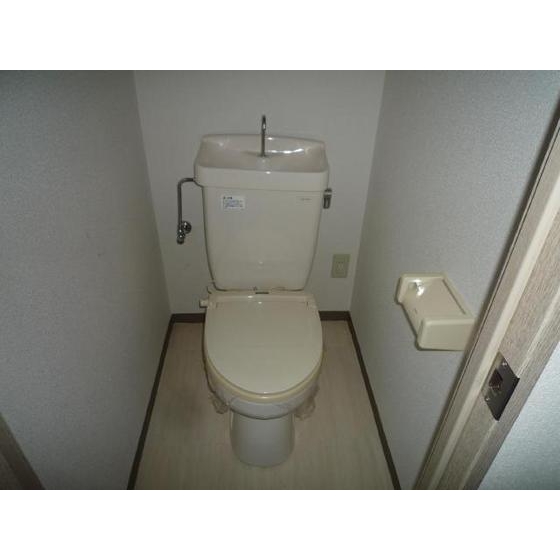 Toilet. Toilet