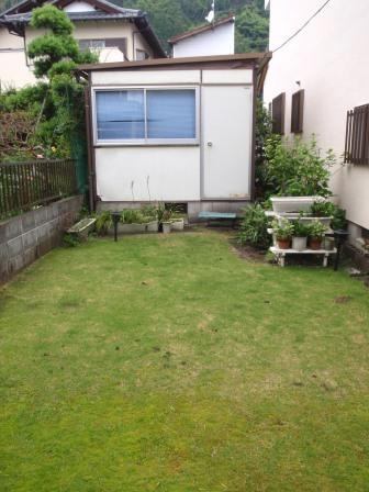 Garden. Local (May 2012) shooting