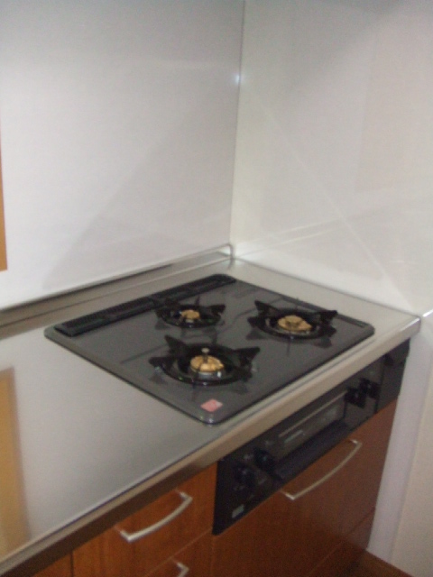 Other. Gas stove