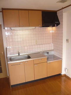 Kitchen. Single lever faucet