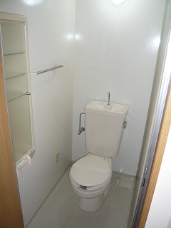 Toilet. With storage