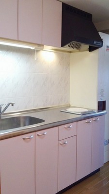 Kitchen. System kitchen with bite IH. Also Easy wash skillet