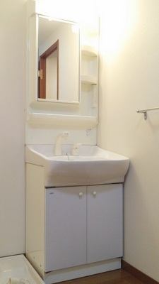 Washroom. Shampoo dresser