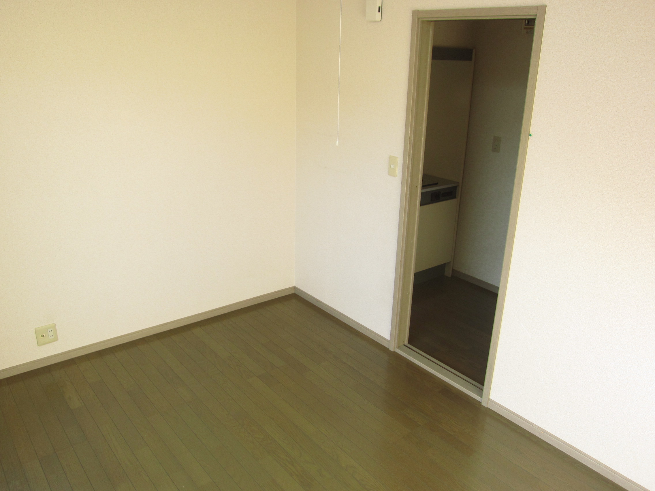 Living and room. Perfect for the person who started living alone!