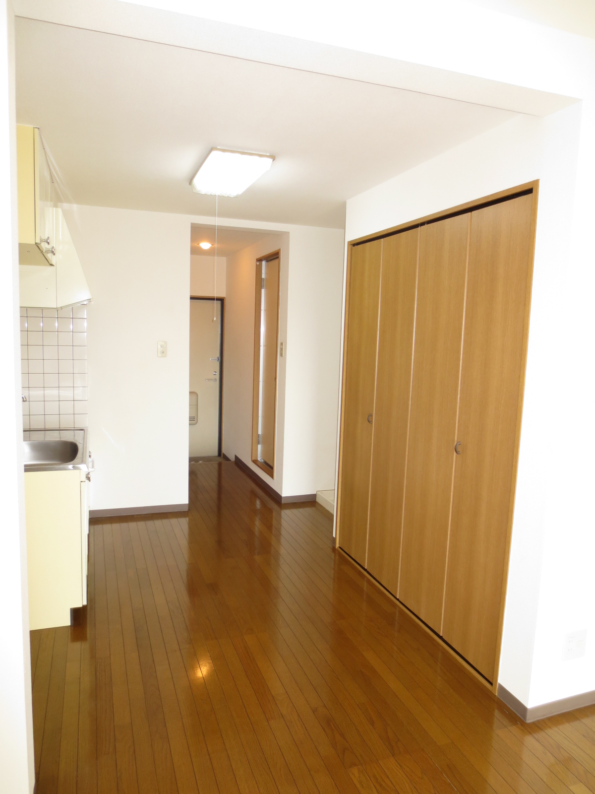 Living and room. Closet is located in DK!