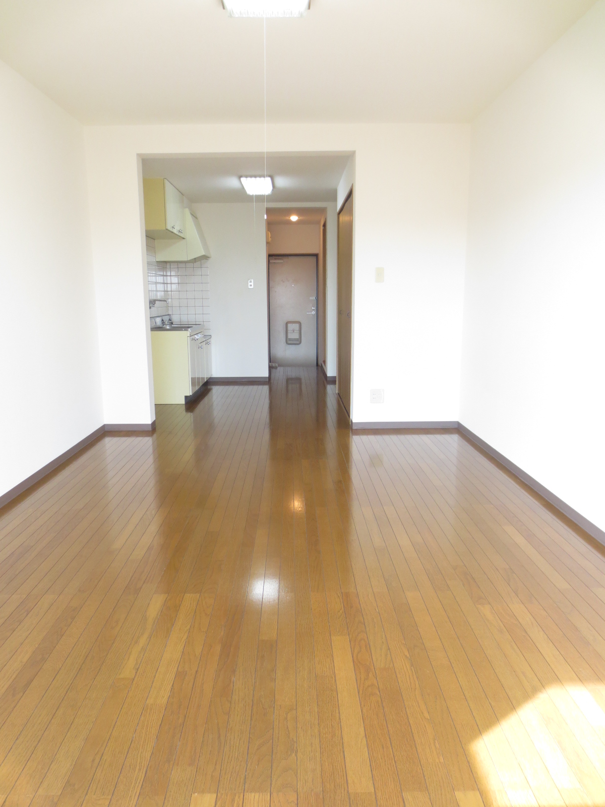 Living and room. It is a portrait of the property!