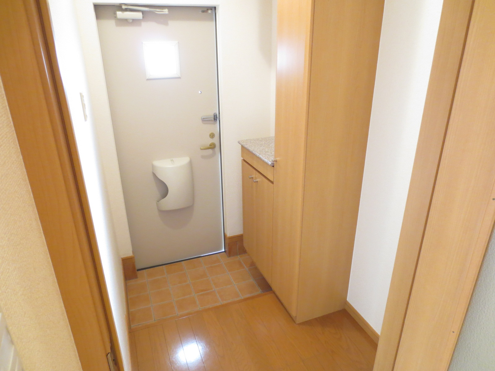 Entrance. There is also a large shoe box!