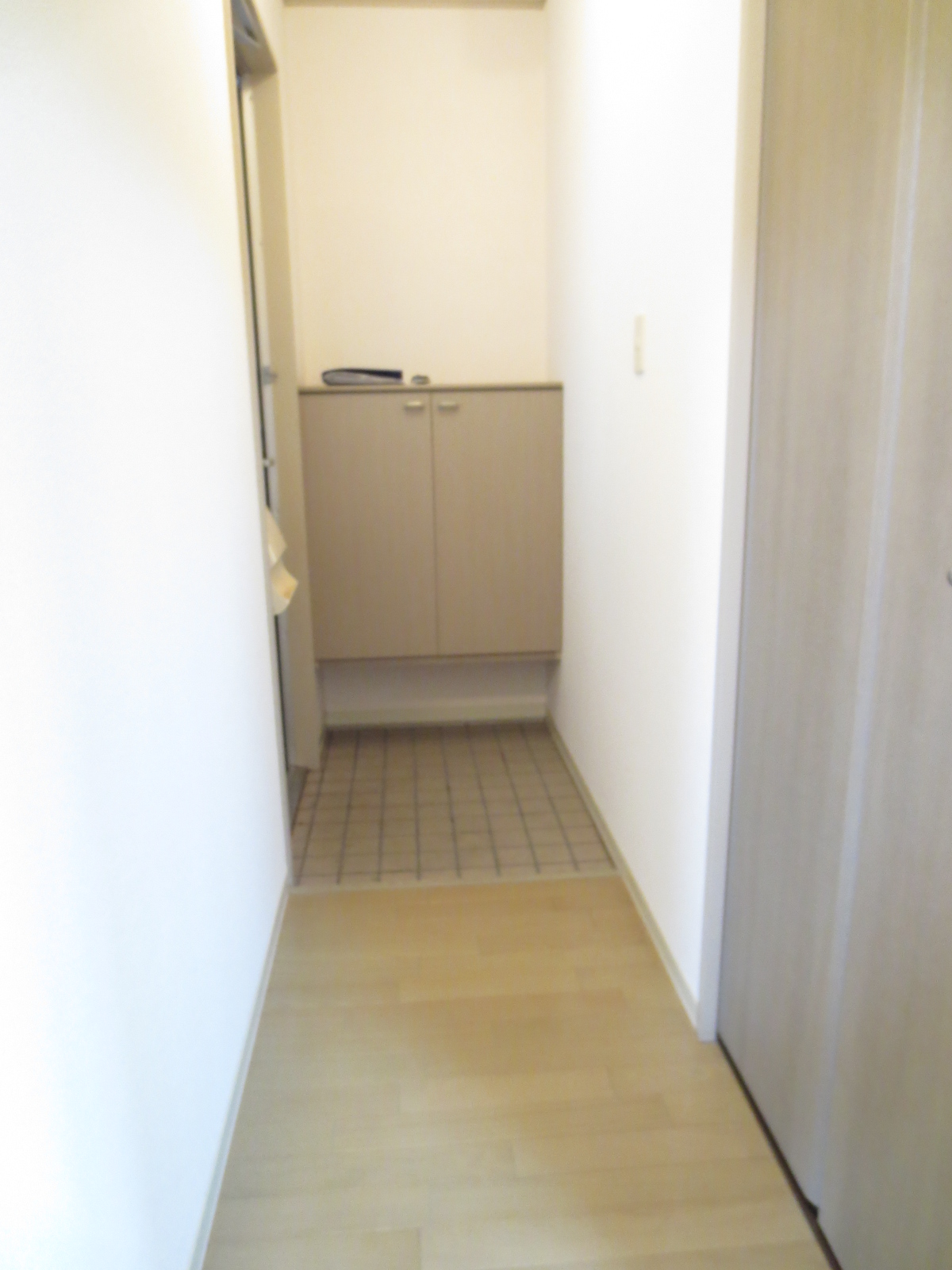 Entrance. It is a simple entrance.