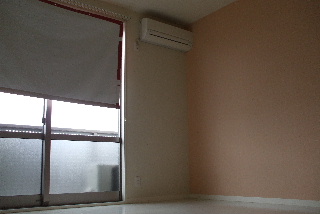 Living and room. Wide LDK