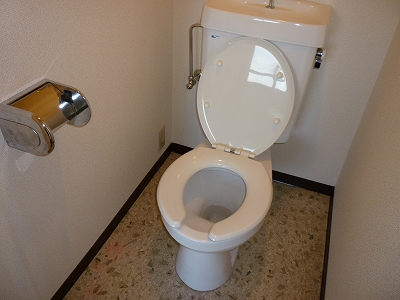 Toilet. Toilet ( ・ U <)