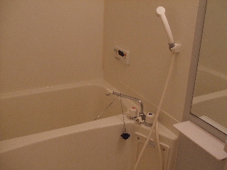 Bath. Spacious relax bathroom.