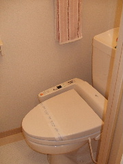 Toilet. It is cleaning with a toilet.