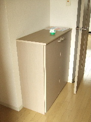 Entrance. Shoes BOX equipped.