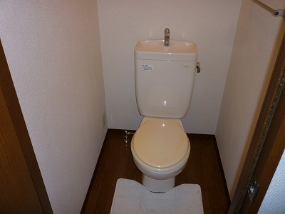 Toilet. Toilet