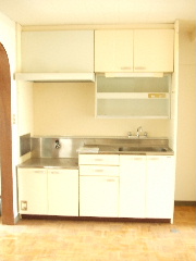 Kitchen. Storage is plenty of kitchen.