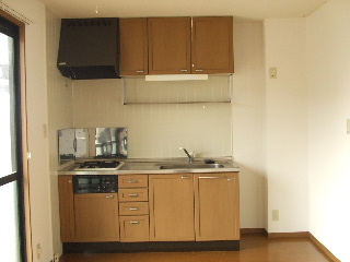 Kitchen. System kitchen is a nice kitchen.