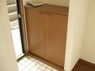 Entrance. Wide entrance of with shoes BOX.