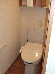 Toilet. Cleaning with toilet is a sensor light.