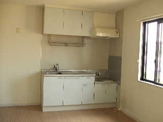 Kitchen. I white kitchen is not the image of a lovely wife.