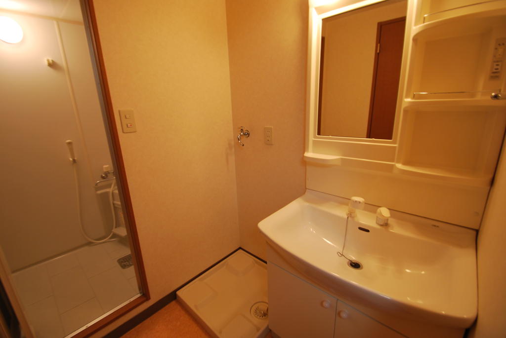 Washroom. Laundry Area & vanity