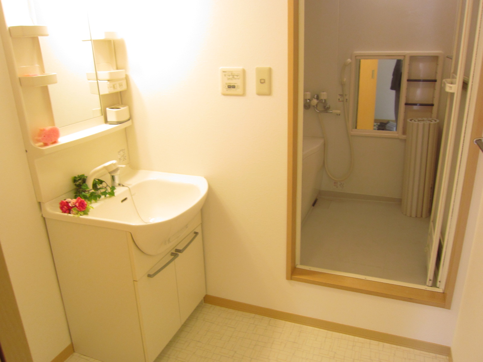 Washroom. Independent wash basin and a washing machine yard with shower.