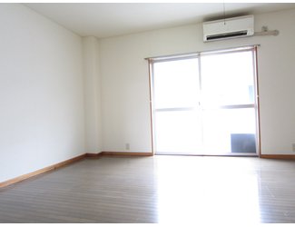 Living and room. Day good