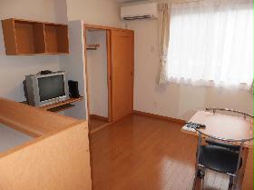 Living and room. First floor flooring, Second floor carpet