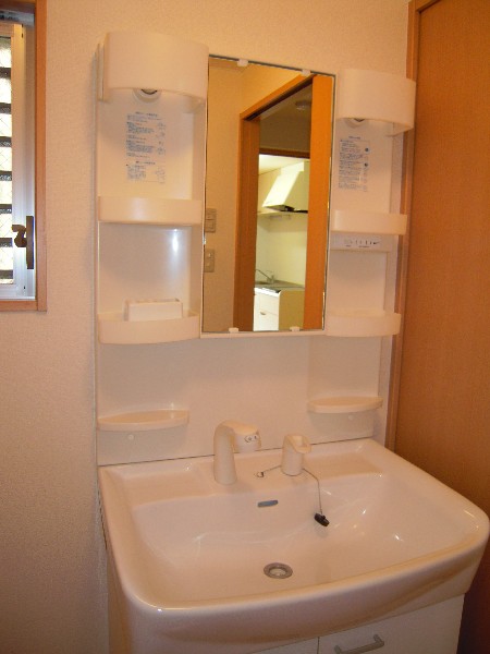Washroom. Shampoo dresser
