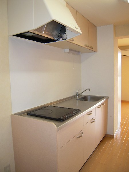 Kitchen. IH cooking heater with