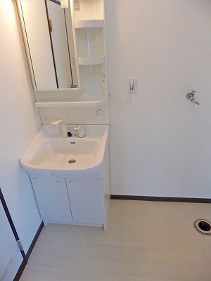 Washroom. Bathroom vanity